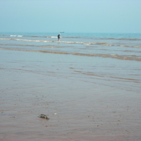 Dawlish Beach in Autum 009