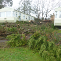 Storm damage at Ladys Mile 010