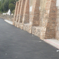 New cycle path plus swans nesting 002