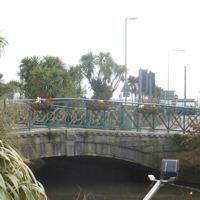 Planting Volunteers 003