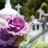 How To Avoid Disagreements Over Funerals