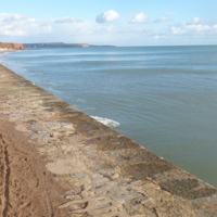 A sunny morning December 27th 008