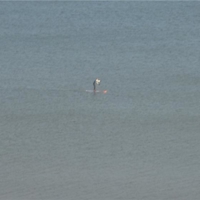 a walk around on saturday afternoon 008