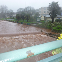 Dawlish Brook 30th December 2015 003