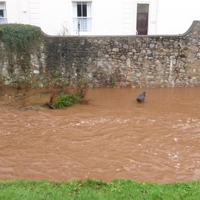 The day after the storm 007