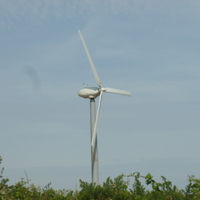 A taste of the Country Park at Port Road 006