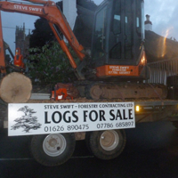 Dawlish Carnival 2016 056