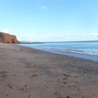 A sunny morning December 27th 003