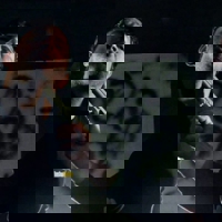 10355679_714080818658574_1001715615876103370_o