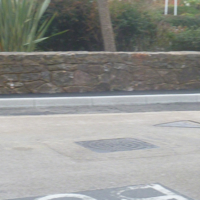 New cycle path plus swans nesting 003