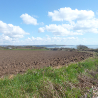 A sunny April morning 006