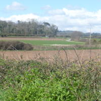 A sunny April morning 004