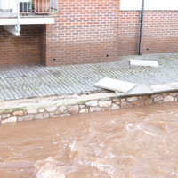 The Morning After The Floods 009