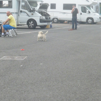 Travellers at Sand Lane Car Park 005