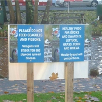 new signs at the lawn 003