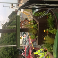 Dawlish garden trust