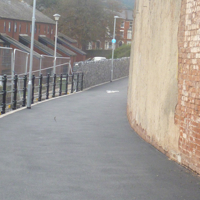 New cycle path plus swans nesting 001