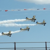 Utterly-Butterly-25461