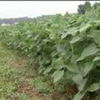 ANd9GcQrMxtnVFxw_Dx-GsrIbbJOrupxDWZUMwmiuBKXA9wvott-2DJxKIR2