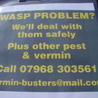 WASP NEST PROBLEM