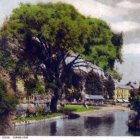 Devon20Dawlish20Lawns20and20River20Daw20193027s