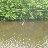 A sunny June in Dawlish