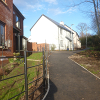 New houses in the woods 010