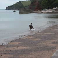 Easter Monday on Dawlish Beach