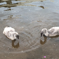 20160501_121150927_iOS