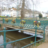 Planting Volunteers 006