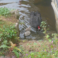 Sunday August 28th 2016 001