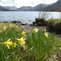 18040907glencoyne_park