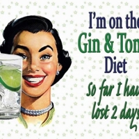 The housing developments at Gatehouse (ref DA2 in the Local Plan) - more info 