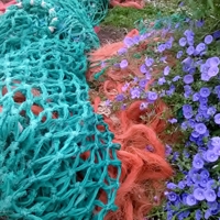 trawlernet from luci coles 4