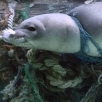 thidOIP-6kHu0axlTselhqv2WBligHaD9amppid15