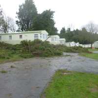 Storm damage at Ladys Mile 004