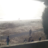 Beautiful Dawlish 001