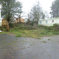 Storm damage at Ladys Mile 003