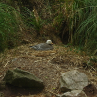 School Half Term in June 006