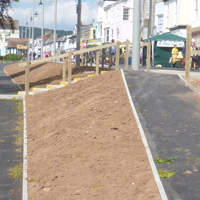 The Regeneration Completed