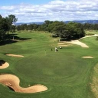 Warren-go-top-as-Champs-stumble-25153