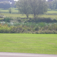 Powderham Castle 013