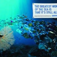 thidOIPt200SPr1DOLtmMjFkkeuLAEsDUamppid15