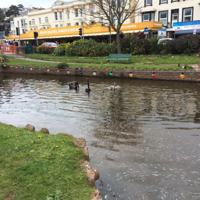 20160501_120952770_iOS