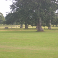 Powderham Castle 003