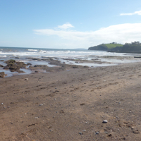 Easter Saturday 2014 006