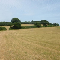 a taste of the country park at port road 012