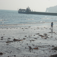 October 2nd 2011 in Dawlish 007