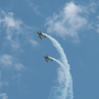 Utterly-Butterly-25463