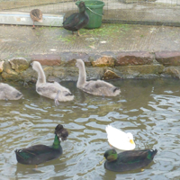 Sunday 19th November 001